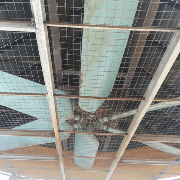 �վ�����L�C